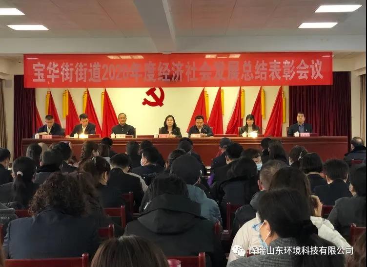 辉瑞（山东）环境科技有限公司