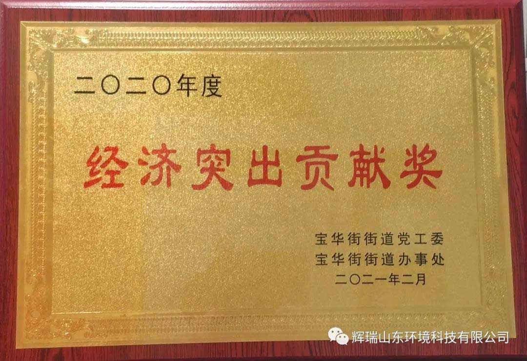 辉瑞（山东）环境科技有限公司