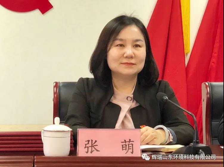 辉瑞（山东）环境科技有限公司