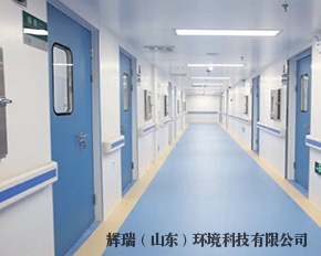 辉瑞（山东）环境科技有限公司