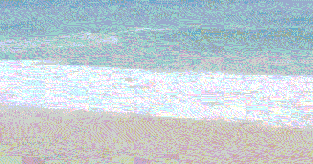 1657347449102796.gif