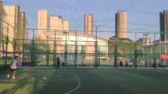 Video_20220919_044959_108.gif